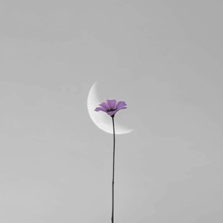 دانلود آهنگ هر کجا لر بچه ای شیرین زبونه جونوم