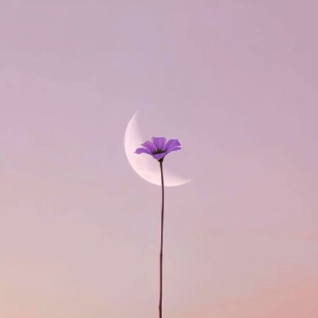 دانلود ریمیکس رویاهام ذره ذره پودر شدو جلو چشام آینده سوخت
