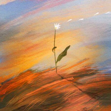 دانلود آهنگ چرخ چرخ زده بیا در میدان رقص کده (ترند افغانی)