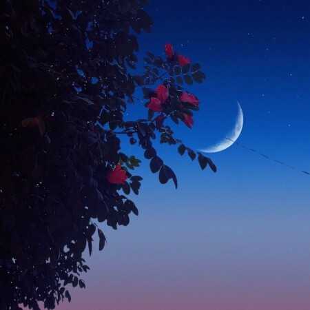 ببین نمیگم هیشکی بهت راست نمیگه از هودادکا