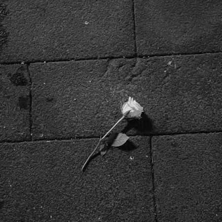 هرجارو گشتم نبود اثری با صدای زن