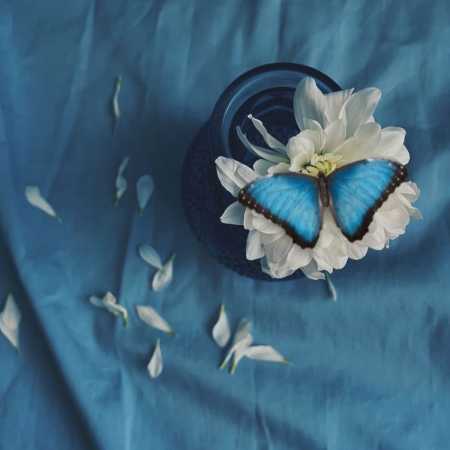 خونه ی من اونجاست که بوی تو باشه