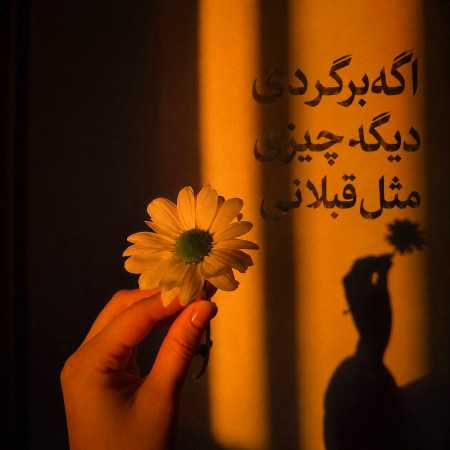 اگه برگردی دیگه چیزی مثل قبلا نی