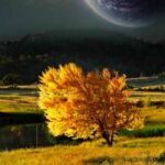 دانلود آهنگ آمارات میاد دم به دیقه اون کارا از یه بچه بعیده