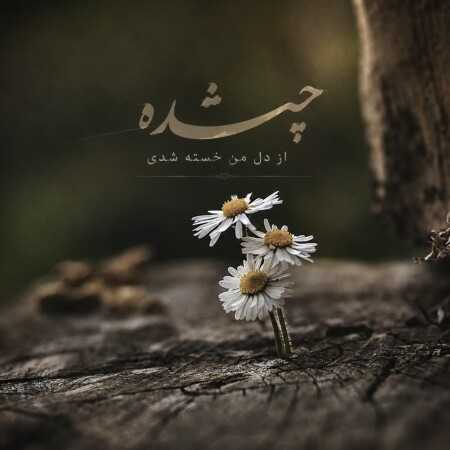 چیشده از دل من خسته شدی - با صدای دختر