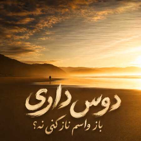 دوست داری باز واسم ناز کنی نه - بیگ شگی