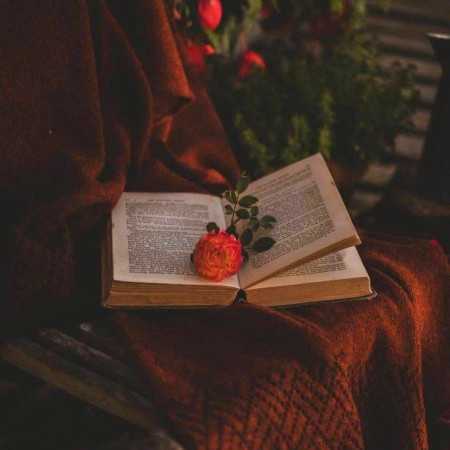 میپرم از سرت به خودت نگو چرا وضع اینه