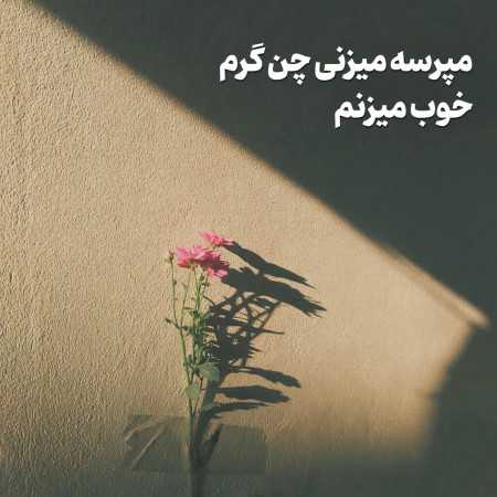 میپرسه میزنی چن گرم خوب میزنم - ترند تیک تاک