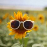 دانلود آهنگ افتادی از چشم من پسر نامرد با صدای دختر