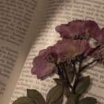 دانلود آهنگ نه این عشق نیست عشق به شکل پرواز پرندس