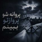 دانلود آهنگ پروانه شو پروازتو ببینم رفتی که با عذابتو ببینم
