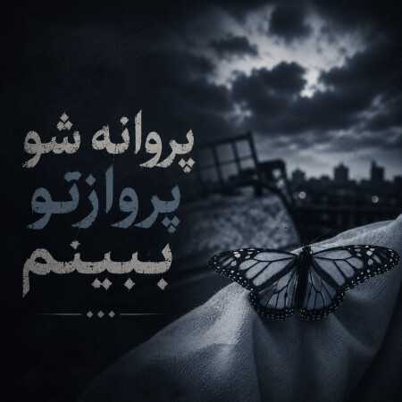 پروانه شو پروازتو ببینم رفتی که با عذابتو ببینم