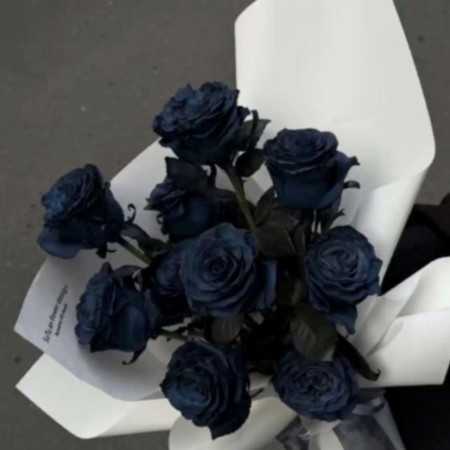 رز آبی من غم تو غصه هامی از امیر رحیمی
