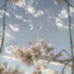 دانلود آهنگ تو اگه منو میخواستی به بقیه تکست نمیدادی دانلود آهنگ تو اگه منو میخواستی به بقیه تکست نمیدادی