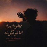 دانلود آهنگ میخوام برم اما تو میگی نه بت میگم خل و چلم