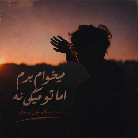 میخوام برم اما تو میگی نه بت میگم خل و چلم