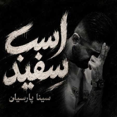 اسب سفید از سینا پارسیان