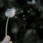 دانلود آهنگ لی لی لاو هنو دارم بهت اعتیاد