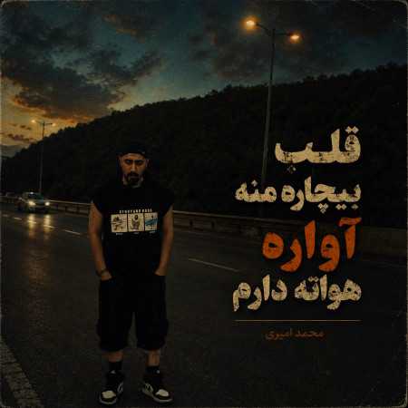 قلب بیچاره منه آواره هواته دارم از محمد امیری