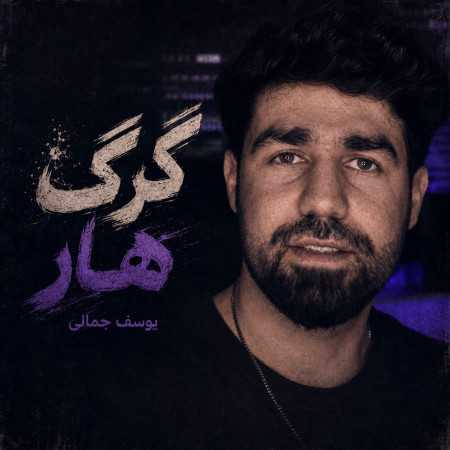 گرگ هار از یوسف جمالی (چشات گرگ داره خیلی رو داره)
