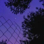 دانلود آهنگ نسترن ای عشق من حرفی بزن