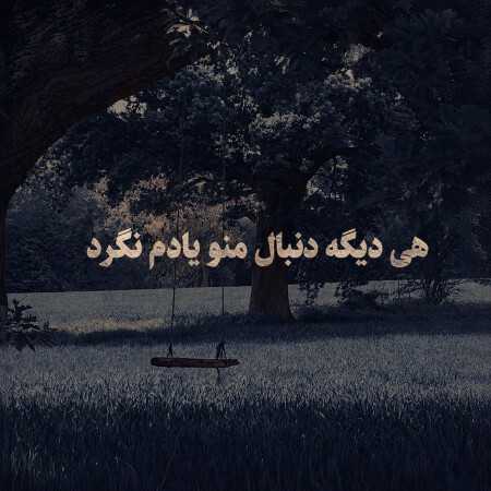 هی دیگه دنبال منو یادم نگرد - صدای دختر