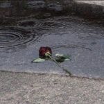 دانلود آهنگ کردی زرنگ بازی تو نتیجه میبازی – ریمیکس اینستا دانلود آهنگ کردی زرنگ بازی تو نتیجه میبازی – ریمیکس اینستا