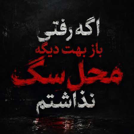 اگه رفتی باز بهت دیگه محل سگ نذاشتم