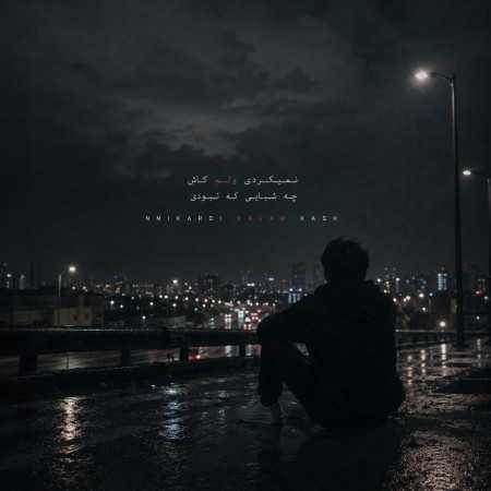 نمیکردی ولم کاش چه شبایی که نبودی