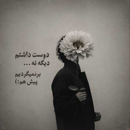 دوست داشتم دیگه نه برنمیگردیم پیش هم