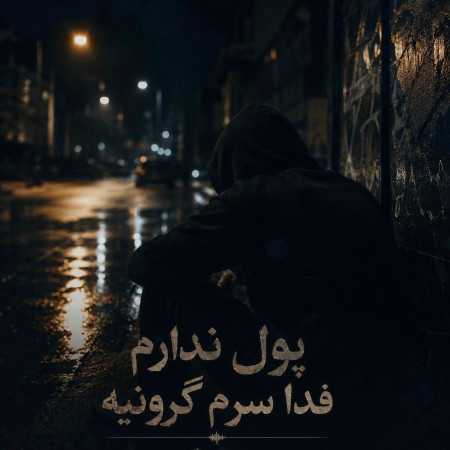 پول ندارم فدا سرم گرونیه - ترند اینستا
