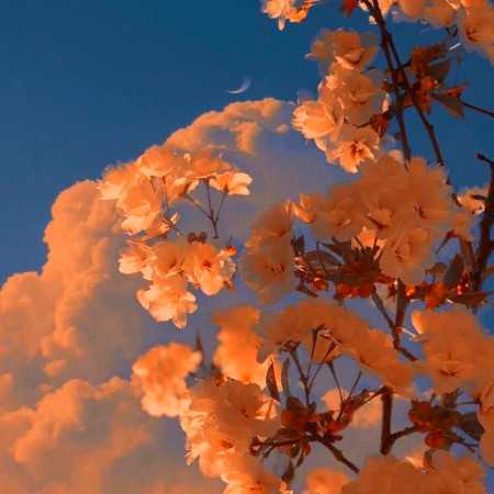بی صدا در سکوت میسوزم - ترکی با صدای زن