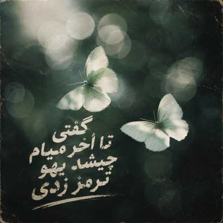 گفتی تا آخر میام چیشد یهو ترمز زدی