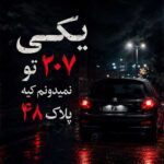 دانلود اهنگ یکی تو 207 نمیدونم کیه پلاک 48
