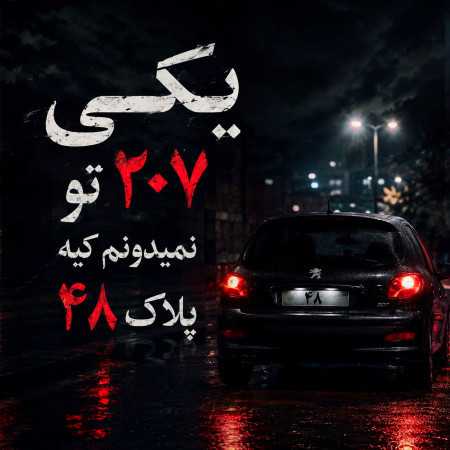 یکی تو 207 نمیدونم کیه پلاک 48