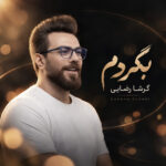 دانلود آهنگ بگردم از گرشا رضایی