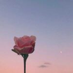 دانلود اهنگ بگردم بگردم آخه فکر نمیکردم بیای تو زندگیم با صدای زن