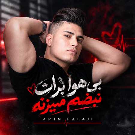 بی هوا برات نبضم میزنه از امین فالجی