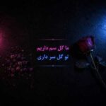 دانلود اهنگ ما گل سم داریم تو گل سر داری دانلود اهنگ ما گل سم داریم تو گل سر داری