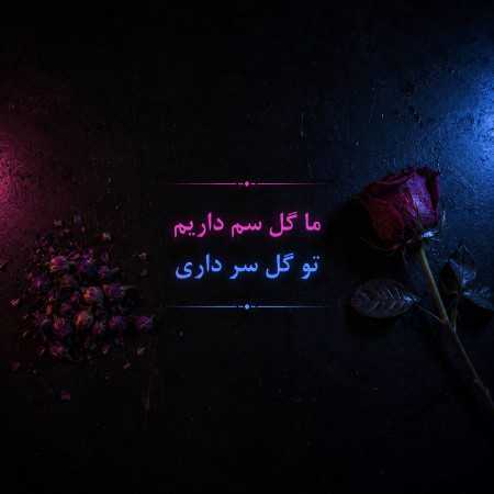 ما گل سم داریم تو گل سر داری