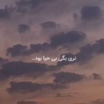 دانلود آهنگ نری بگی بی حیا بود با صدای دختر