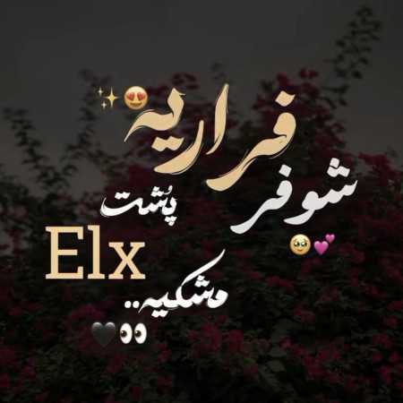 شوفر فراریه پشت ال ایکس مشکیه