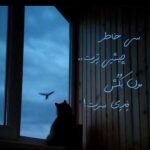 دانلود آهنگ سی خاطر چیشی ترت مون بکش فدای سرت صدای زن