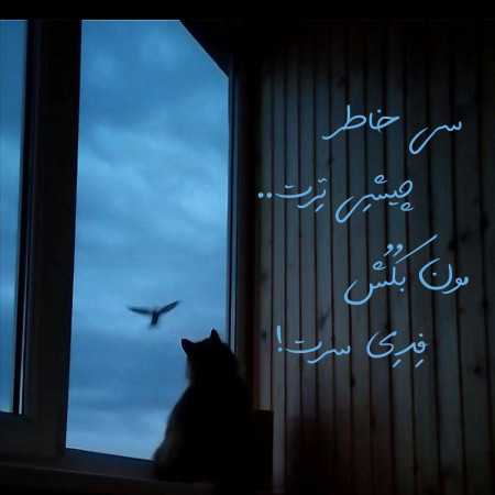 سی خاطر چیشی ترت مون بکش فدای سرت صدای زن
