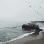 دانلود آهنگ او نه نه نه دلمو برده پسره – ترند اینستا دانلود آهنگ او نه نه نه دلمو برده پسره – ترند اینستا
