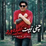 دانلود آهنگ چنی تیپت کفیده ورد از حامد الماسی دانلود آهنگ چنی تیپت کفیده ورد از حامد الماسی