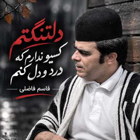 دلتنگتم کسیو ندارم که درد و دل کنم از قاسم فاضلی