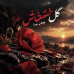 دانلود اهنگ گل خشخاش بیرون بیا – ترند اینستا
