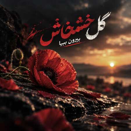 گل خشخاش بیرون بیا - ترند اینستا