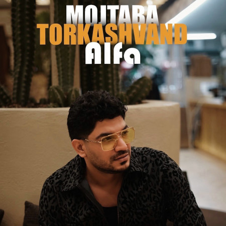 آلفا از مجتبی ترکاشوند
